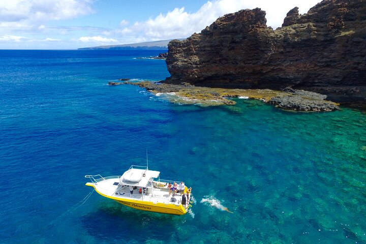 6-Hour Lanai Snorkel & Dolphin Tour from Lahaina OdTJJTxl