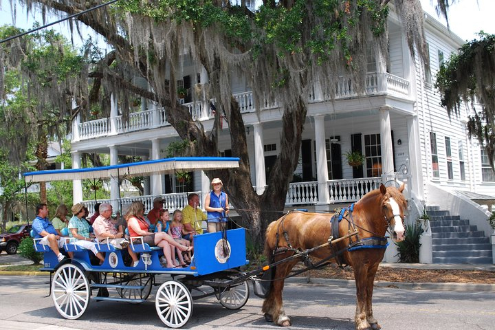 #1 Historical Horse Drawn Carriage Tour EF7at9do