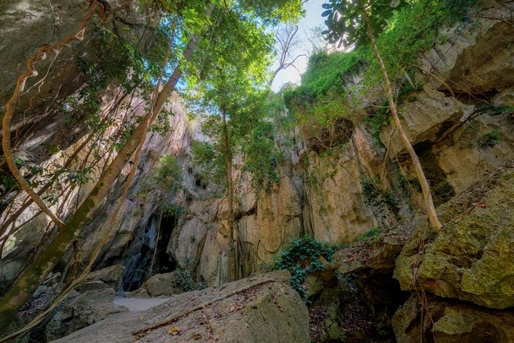 Capricorn Caves Cathedral Cave Tour pV1Ff2M0
