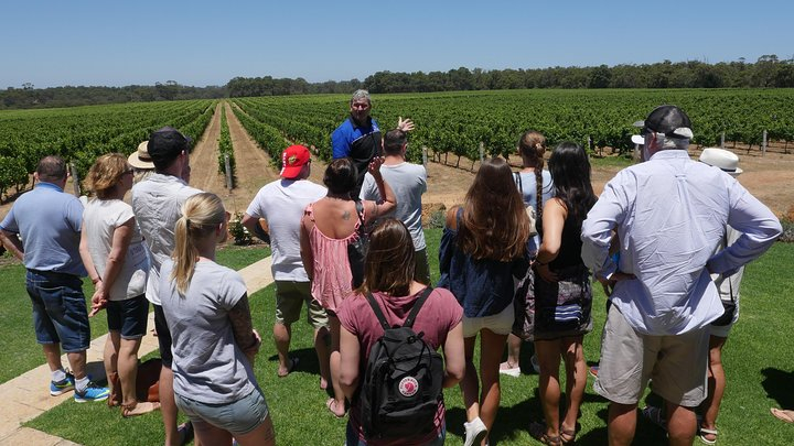 Margaret River Wine Tour: The Full Bottle zX3079eu