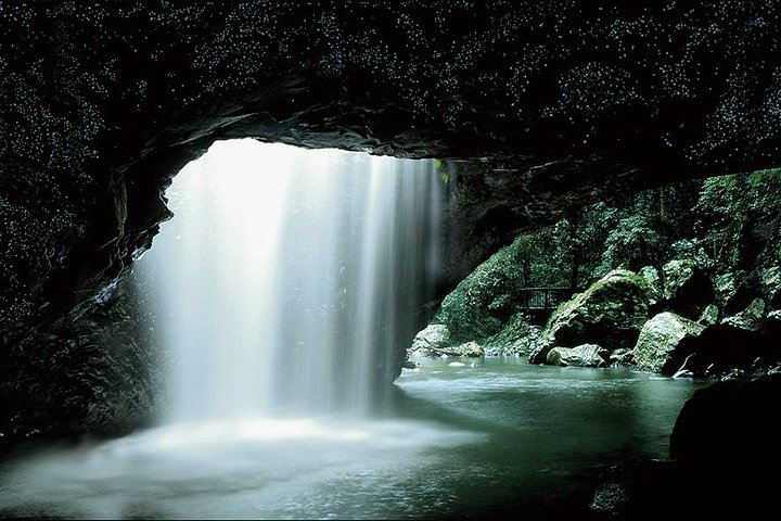 Natural Bridge Glow Worm Night Tour from Gold Coast ZrQEcYgk