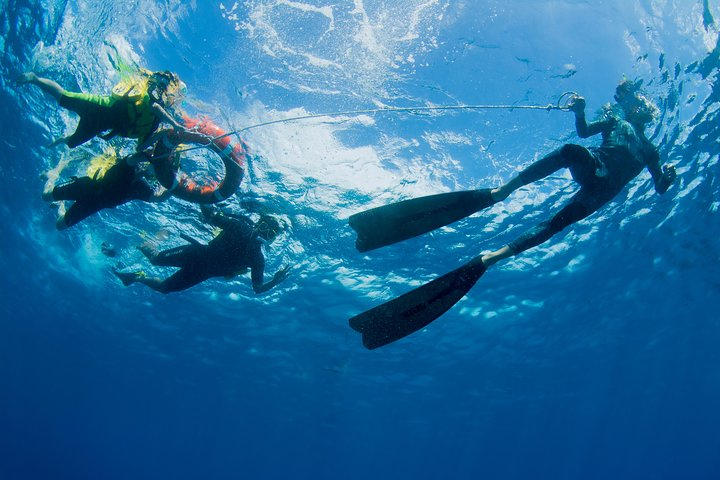 Passions Of Paradise Great Barrier Reef Snorkel And Dive Cruise From ...