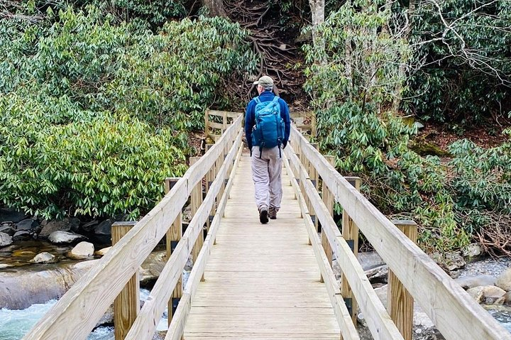 Thundering Streams and Falls of the Smokies Guided Hiking Tour 9UkEtCKu