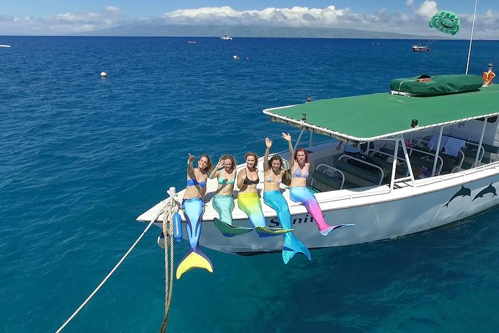 Half Day Snorkel in Lanai Island and Spinner Dolphin Search