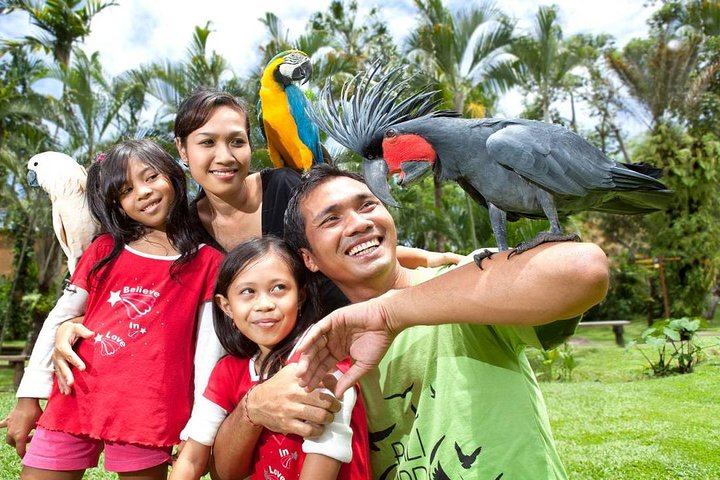 Bali Bird Park Admission Ticket with Hotel Transfer