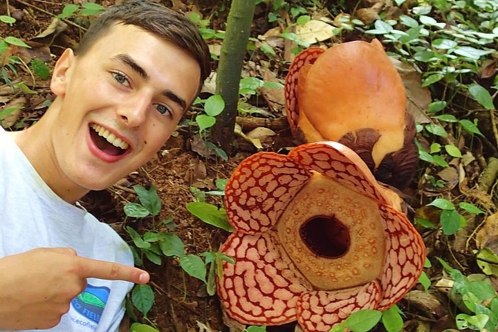 Rafflesia Trek Seekers at Perak (from KL) PfeURfv8