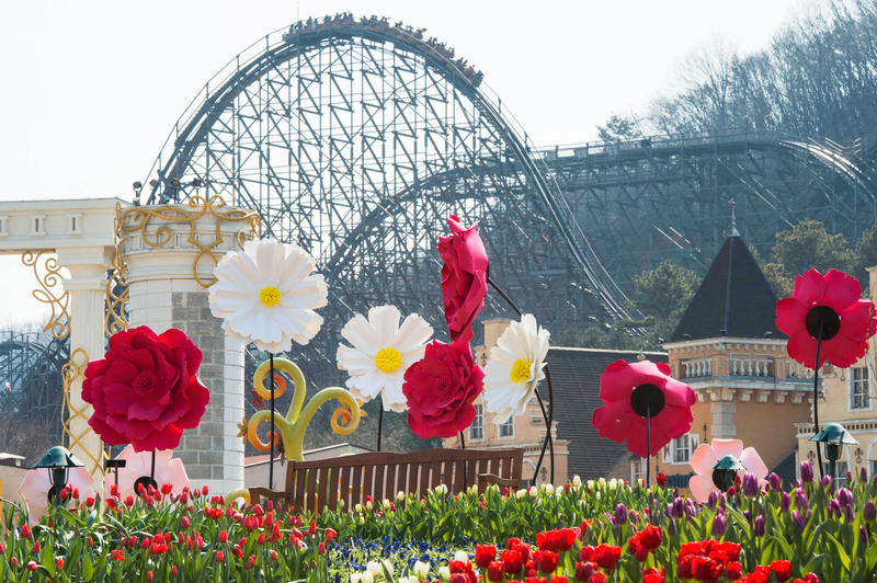 Everland Full Day Trip with Admission and Transfers from Seoul