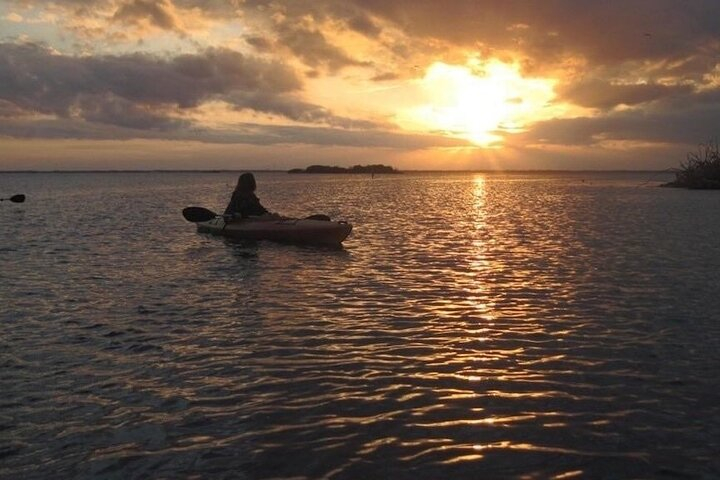 Sunset Bioluminescence Tour  XHNXvFVD