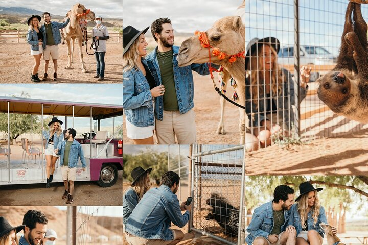  Camel Safari - Camel Ride and Zoo Tour 6qIYZuxU