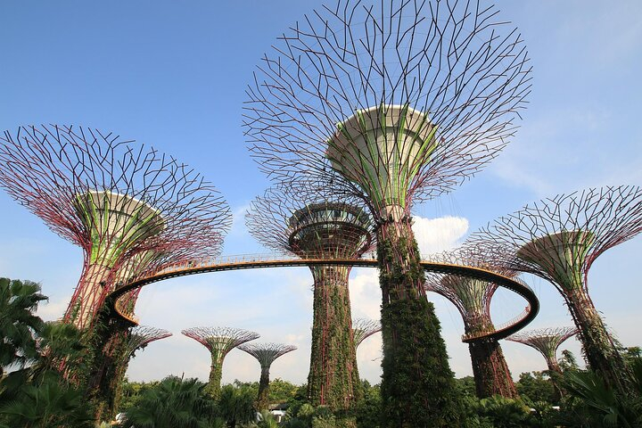 Gardens by the Bay and Floral Fantasy Entry Tickets