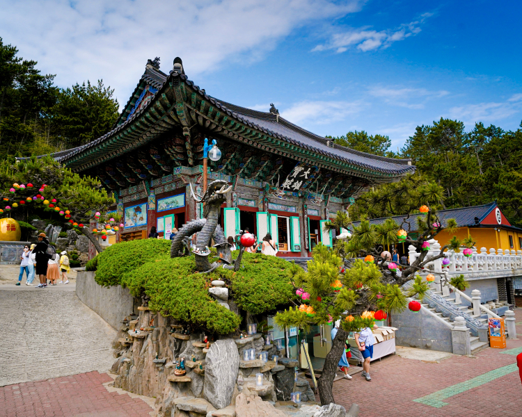 [Busan One Day Tour] Special places in Busan that you must introduce to other people
