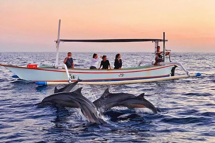 Lovina Dolphin Watching
