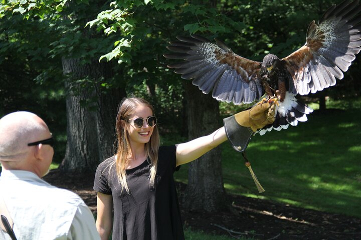 Colorado Springs Hands-On Falconry Class and Demonstration nKshkgoo