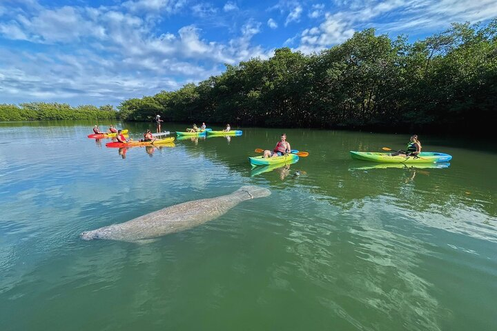 Kayak and Paddleboard Rentals Miami's Historic Virginia Key Beach Park ...