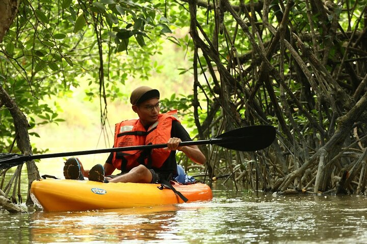 Sedili River Kayaking Adventure