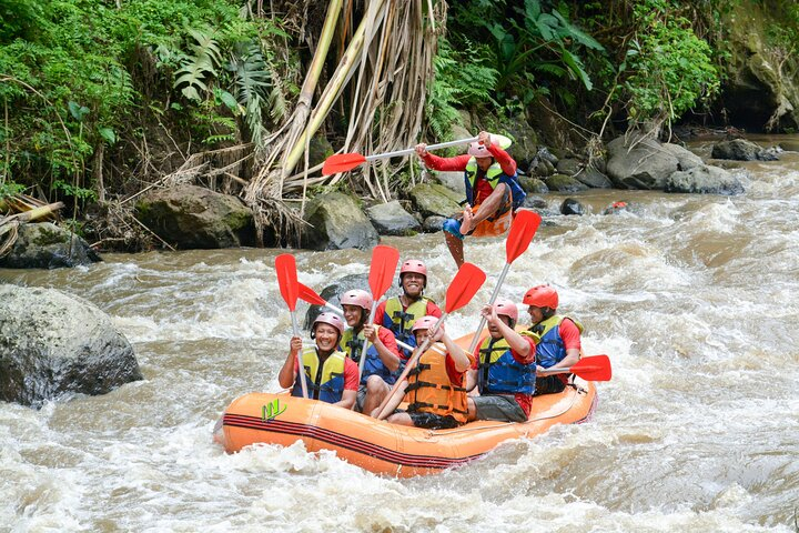 Private Small Group Ubud Rafting in Ayung River