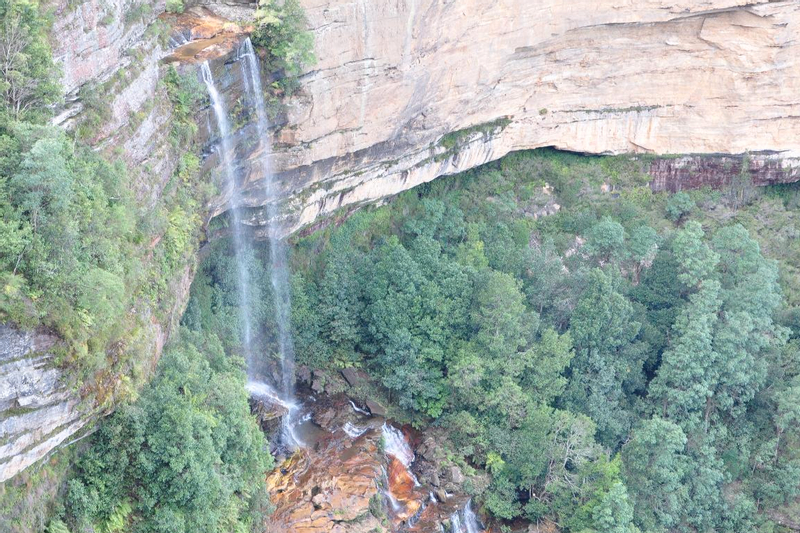  Blue Mountains Tour with Scenic World, Entry to Sydney Zoo and Ferry Return to Circular Quay