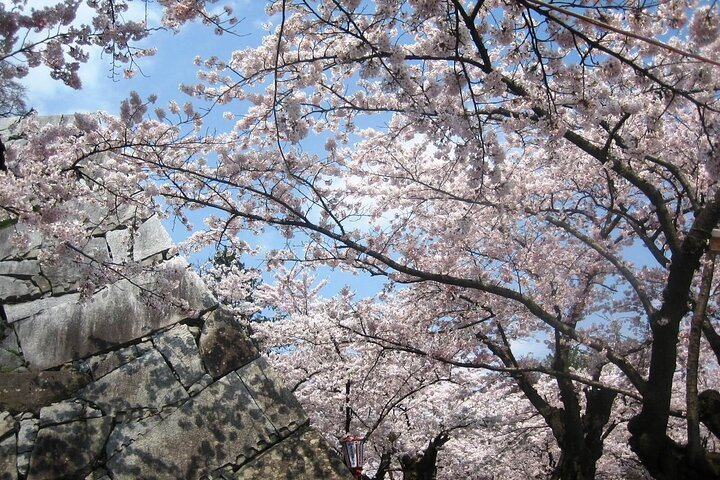 Morioka Full-Day Private Tour with Government-Licensed Guide ChPbKf5Y