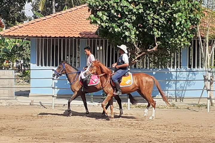 Horse Riding Class in Prambanan