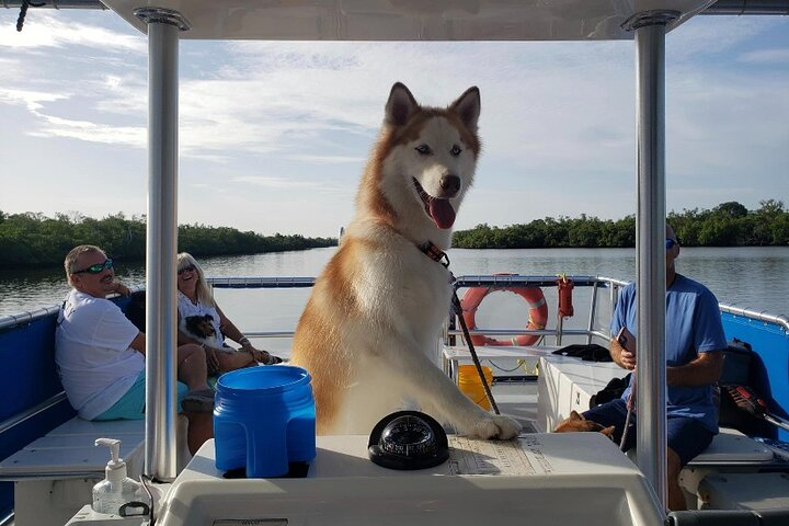 Bark on the Ark CSdQNef9