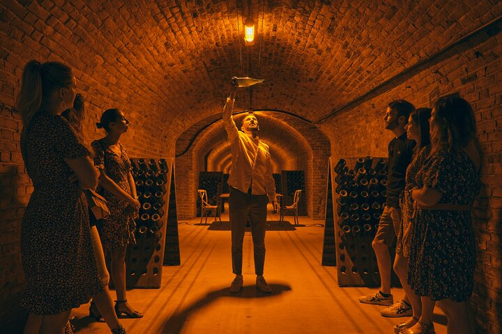 Afternoon Champagne visit & tasting class near Epernay tVyLIv14