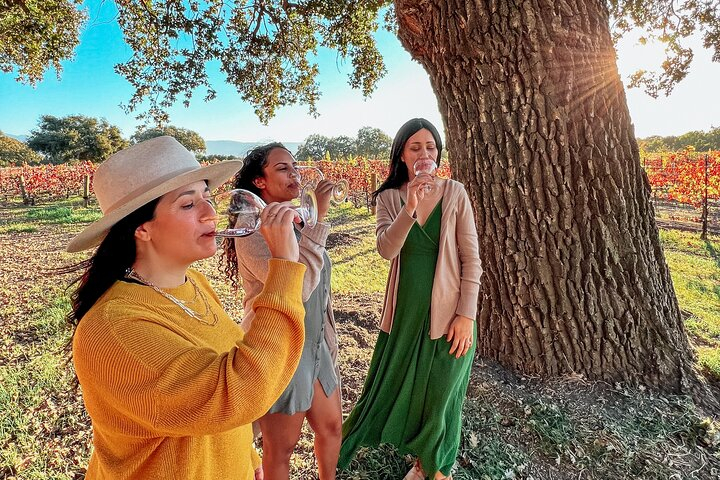 Santa Ynez Wine Tour (All-Inclusive) rSNVMjdx