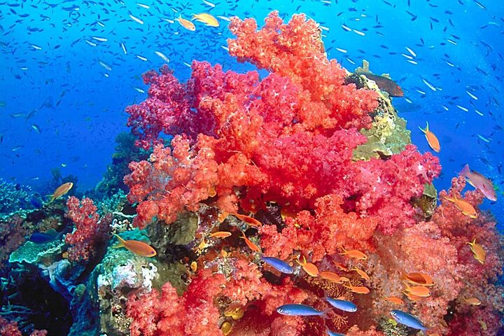 3 Day Trung Over Night on Amazing Emerald Cave and Snorkeling at 7 Color Coral 4ujPDWcL