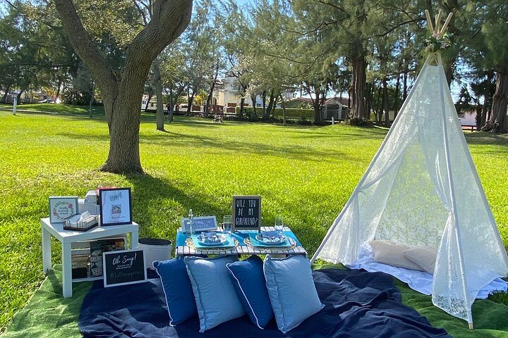 Luxury Picnic Experience in Amelia Earhart Park