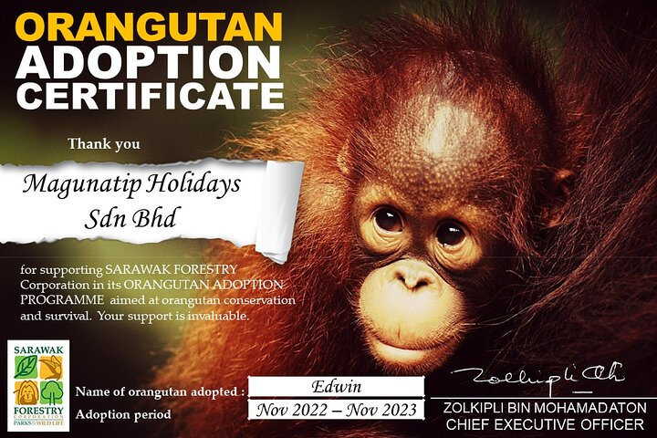 Semenggoh Orangutan Centre from Kuching 7LSBMv2J