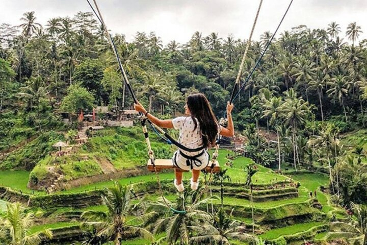 Ubud Highlight Private Charter with Jungle Swing