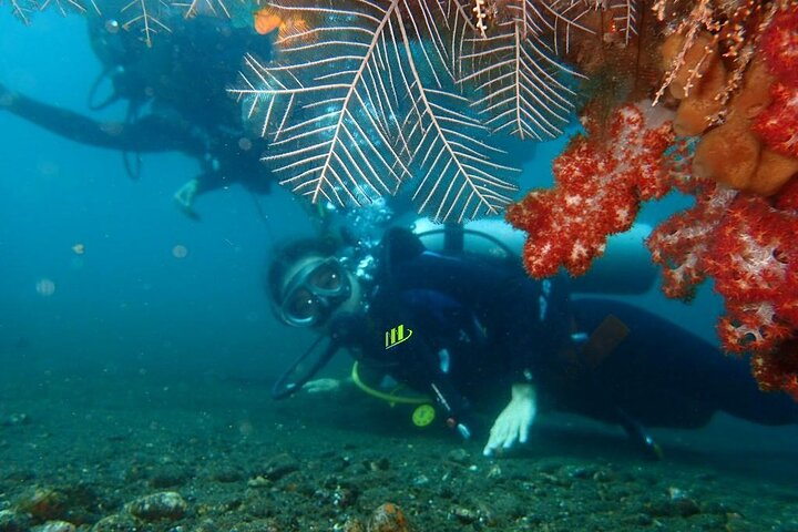 Private 8-Hour Guided Experience Dive in Tulamben