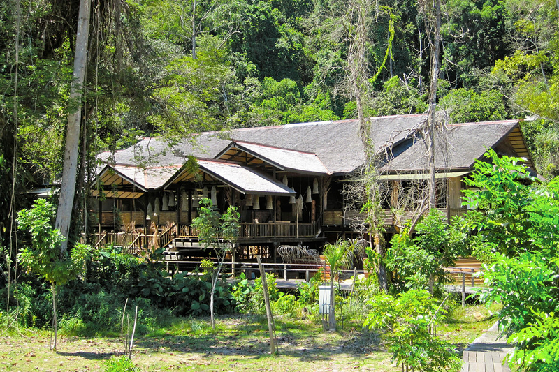 Semenggoh Wildlife Centre and Annah Rais Longhouse Tour