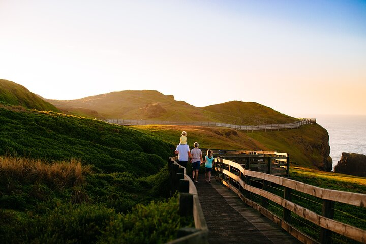Full-Day Penguins and Wildlife Nature Experience from Melbourne 2smSc0Lc