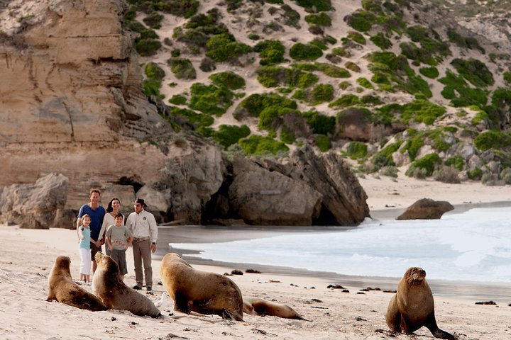 Kangaroo Island Scenic Nature and Wildlife Day Tour  KJvN4MrL
