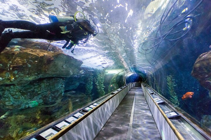Aquarium of the Bay VIP Experience