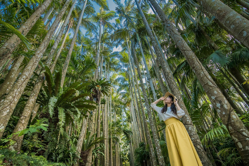 Okinawa Southeast Botanical Gardens 5aSKvnrl
