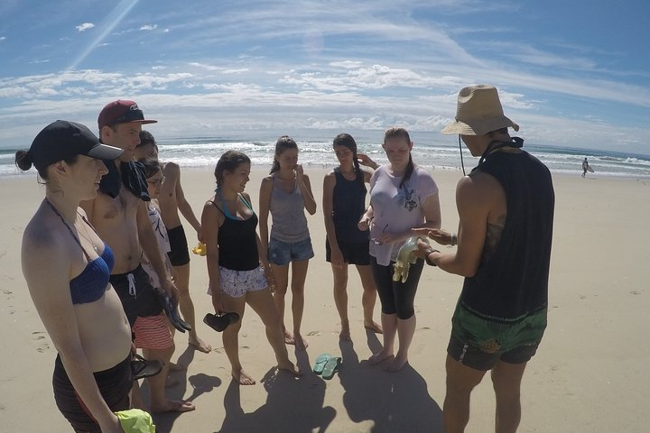 Gold Coast: Morning Kayak & Snorkel Adventure with Breakfast R6IZ8SKI