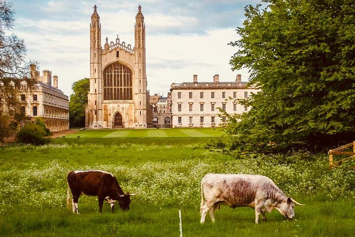 Tiket Historic Cambridge: A Guided Walking Tour Harga Promo - Tiket.com