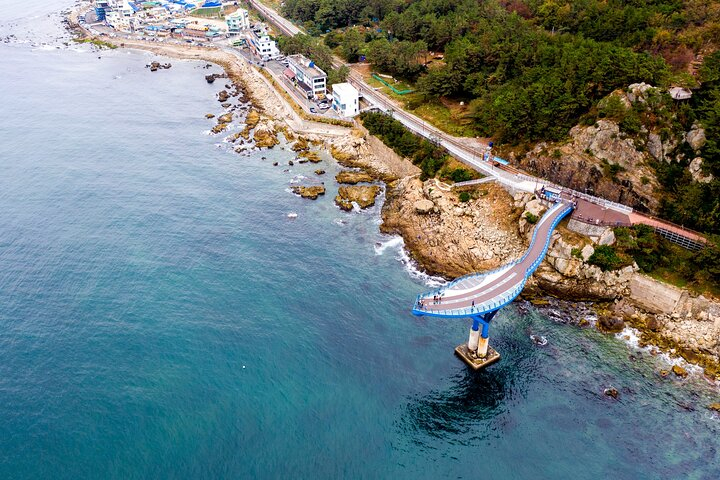 Full-Day Tour Unmissable things to do in Busan kOkEn0I9