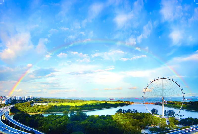 COMBO: Singapore Flyer + Gardens by the Bay Ticket JK3lRfda