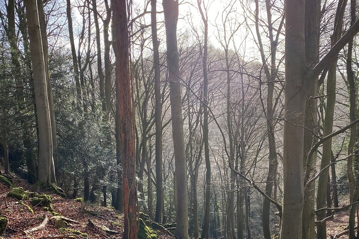 Private Guided Hike: King Arthur's Wye Valley Wander SmNKBxFx