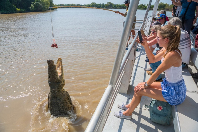 Spectacular Jumping Crocodile Cruise nLdEMNJZ