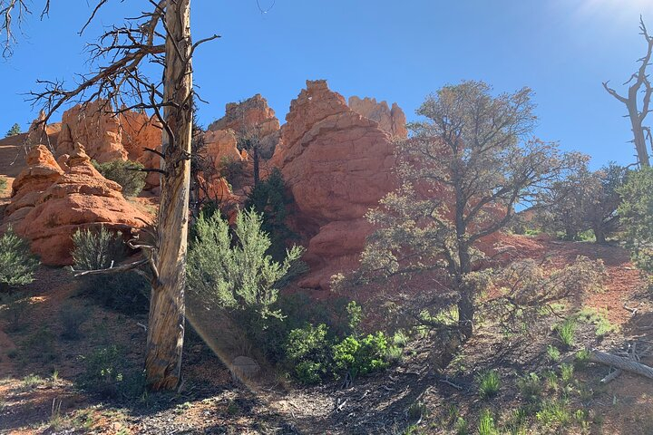 Ruby's Horseback Adventures Utah Half Day Ride YCpKg1qN