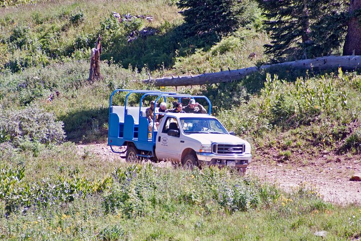 La Plata Mountains - Half Day Tour hpdcj4TB