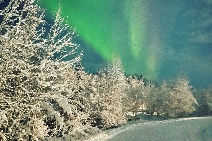 Vip Aurora Adventure from Fairbanks oYWrzLcz