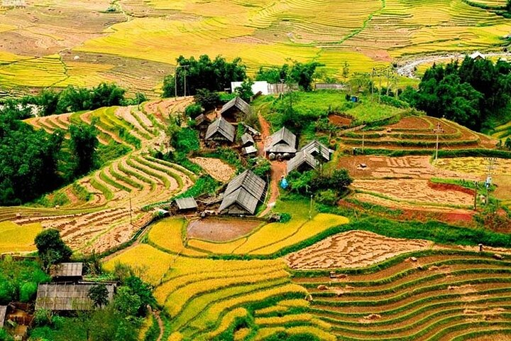 PRIVATE Trekking Sapa Tour 2 Days 1 Night ( Homestay Overnight) aVRI6rjh