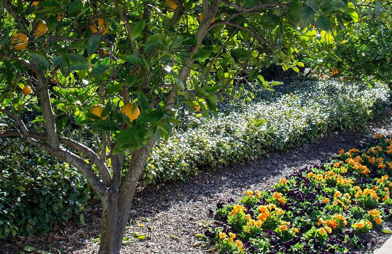 Tiket Hunter Valley Gardens Tickets Harga Promo