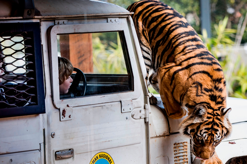 Tiket Taronga Zoo and Sydney Harbour Hopper Ticket Harga Promo