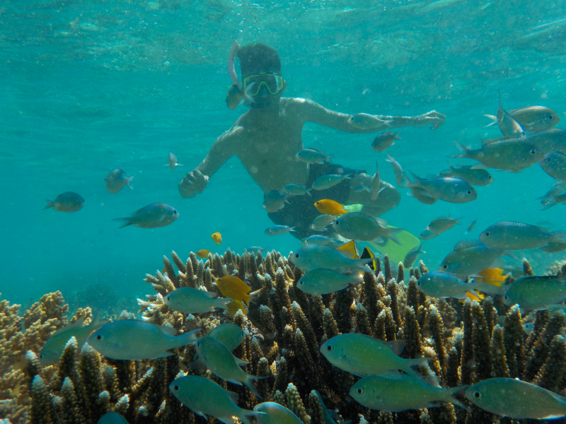 Open Trip Menjangan dqX8Q6LP