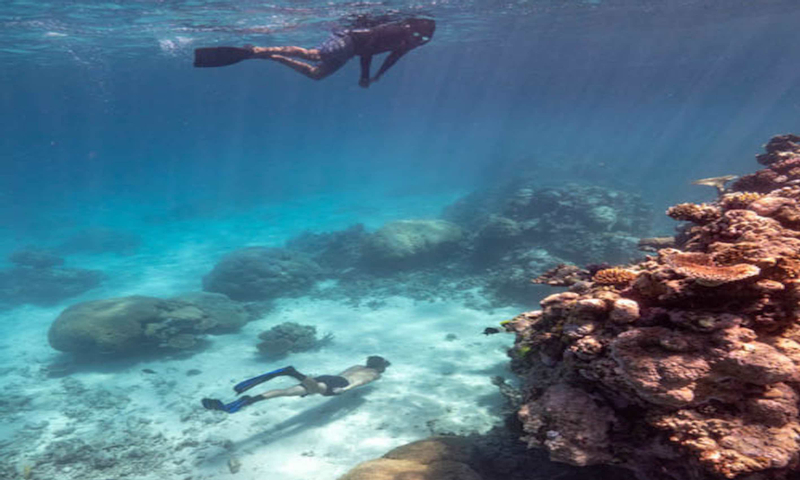 Snorkel & Dive Tour IUGtl3jy